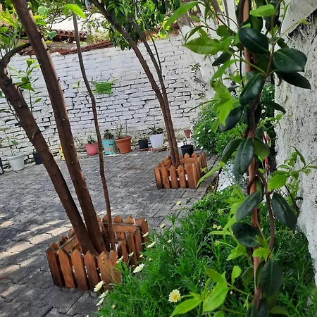 Bloom Villa&apartments