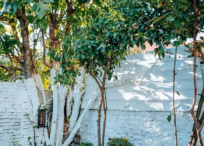 Bloom Villa&apartments *