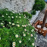 Bloom Villa&apartments Tirana