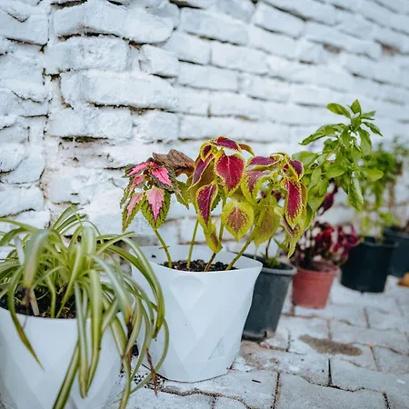 Apartamento Bloom Villa&apartments