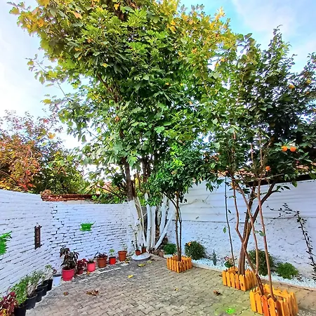 Bloom Villa&apartments * Tirana