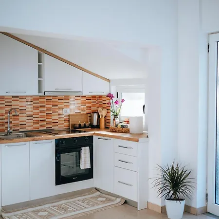Bloom Villa&apartments 아파트 티라나