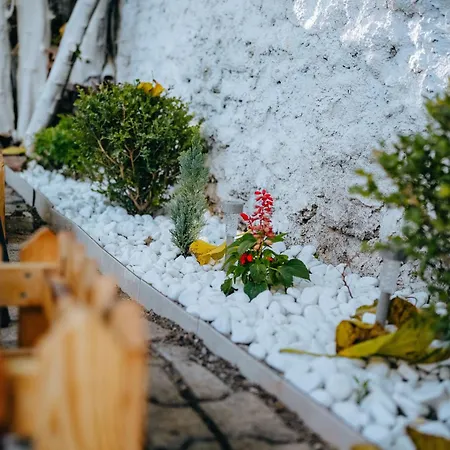 Bloom Villa&apartments