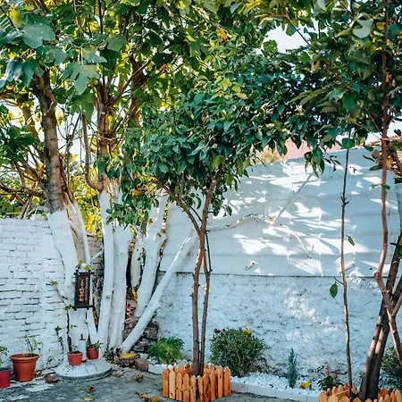 Bloom Villa&apartments *