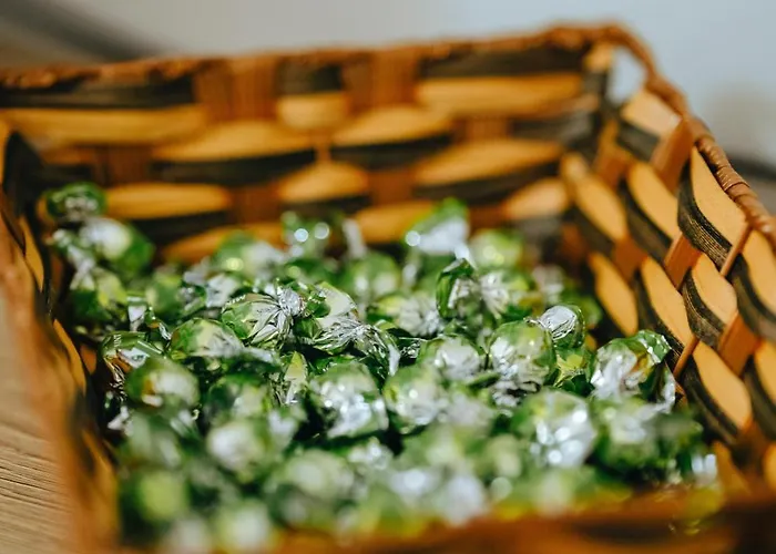 Bloom Villa&apartments * ティラナ