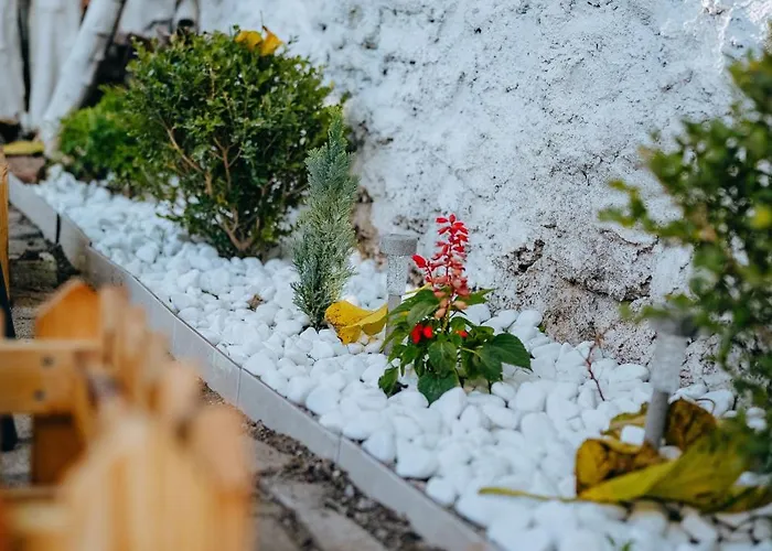 Bloom Villa&apartments