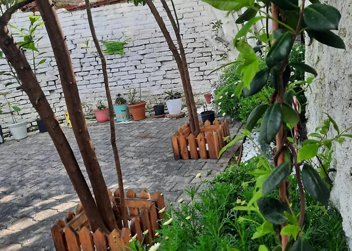 Bloom Villa&apartments