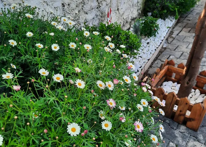 Bloom Villa&apartments Tirana